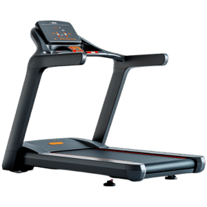 Lifelong Treadmill